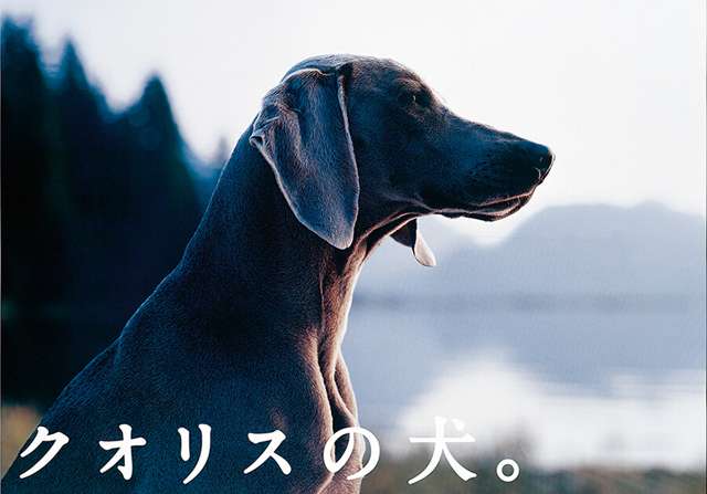 TOYOTA マークⅡクオリス ポスター
